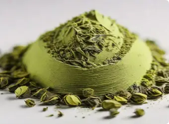 Green Tea Extract